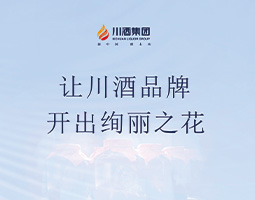 品牌建设经验分享——省酒业集团